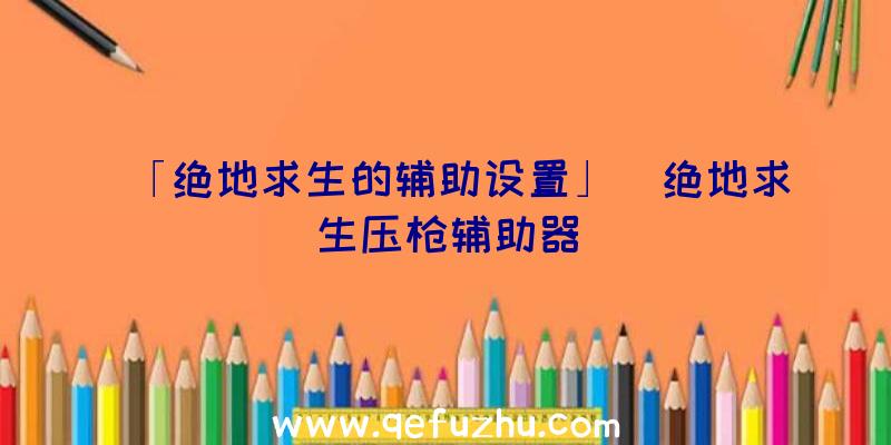 「绝地求生的辅助设置」|绝地求生压枪辅助器